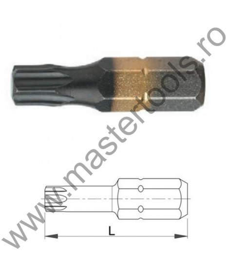 USH Seturi 5 Biti hexagonali 25 mm 1/4" DIN 3126 Forma C 6,3 profil TORX DIATIN TX