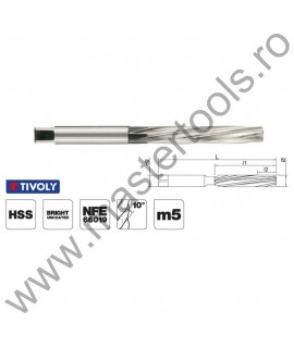 TIVOLY Alezoare NFE 66019 similar DIN 206 forma B, HSS 1040021