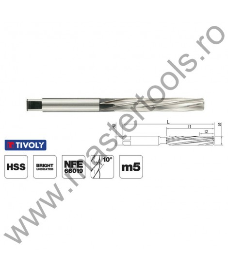 TIVOLY Alezoare NFE 66019 similar DIN 206 forma B, HSS 1040021