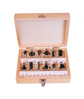 500507 HITACHI HIKOKI Set 12 freze lemn cu tija de prindere 8 mm
