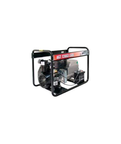 AGT 12003 LSDE Generator de curent