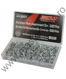 TOOLHUB Trusa cu popnituri 500 bucati