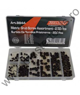 TOOLHUB Trusa cu suruburi ingropate 200 bucati
