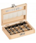 BOSCH 2607018750 Set 5 bucati burghie cu varf din carburi metalice