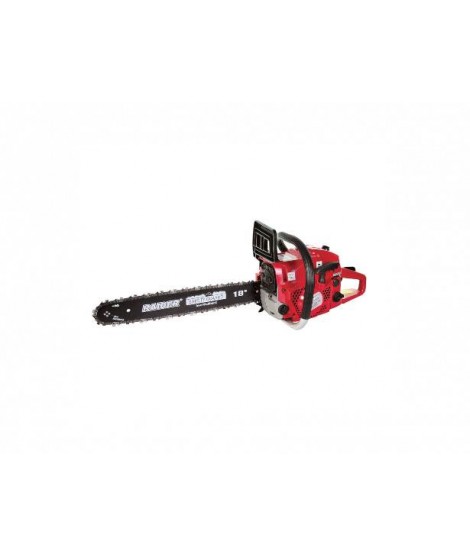 076701 Raider RD-GCS19 Drujba,motoferastrau benzina lant 450 mm 3 Cp