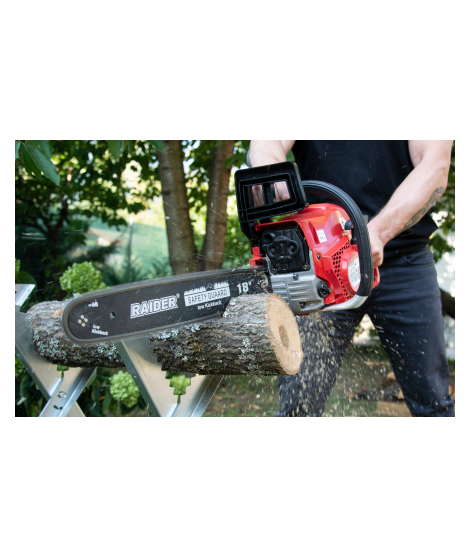 076701 Raider RD-GCS19 Drujba,motoferastrau benzina lant 450 mm 3 Cp