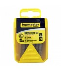 338720 Topmaster Set 10 biti cruce PH2 prindere hexagonala 1/4 50 mm