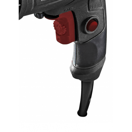 010202 RAIDER RDP-ID43 Masina de gaurit 450W 10mm Black Edition