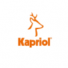 KAP-28022 Kapriol Manusi de protectie Easy Grip, masura 09