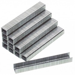 511408 RAIDER Set 5000 bucati de capse 12x10x1.2 mm pentru RD-AS04