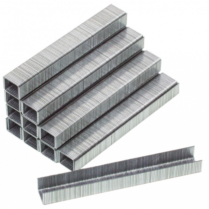 511408 RAIDER Set 5000 bucati de capse 12x10x1.2 mm pentru RD-AS04