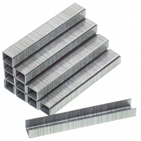 511408 RAIDER Set 5000 bucati de capse 12x10x1.2 mm pentru RD-AS04