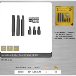 Set 6 biti cu prelungitor M6-M12 TOPMASTER 