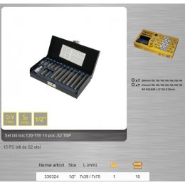 Set 15 piese biti TORX T20-T55 TOPMASTER 