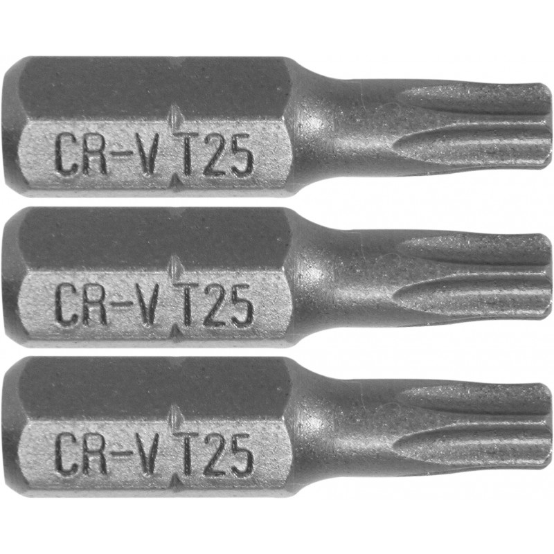 65495 STHOR Set 3 biti profil Torx T25, hexagonala 1/4", lungime 25 mm