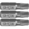 65497 STHOR Set 3 biti profil Torx T30, hexagonala 1/4", lungime 25 mm