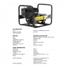 PFAGT4501BNC Generator de curent AGT 4501 BSB SE cu motor Vanguard OHV