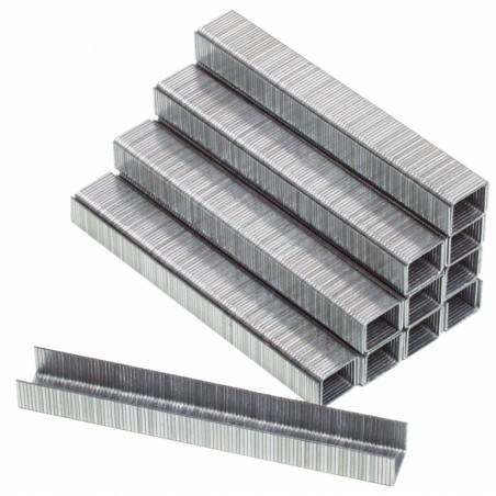 511415 RAIDER Set 1000 capse 25x6x1.08 mm tip55 pentru RDP-SST20