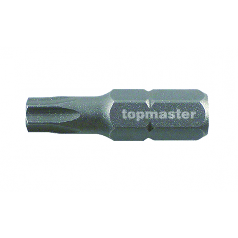 330359 TOPMASTER Set 2 biti magnetici torx T30 prindere hexagon 1/4