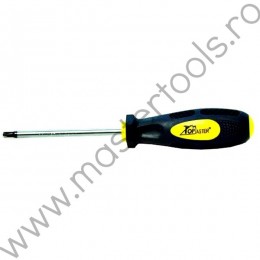 221527 TOPMASTER Surubelnita torx T15 lungime 100 mm