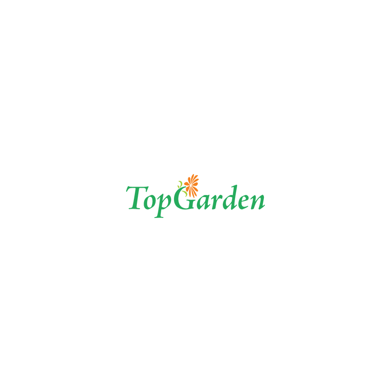 400402 TOPGARDEN Aspersor din alama 4"